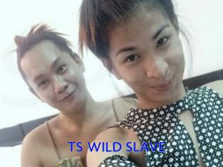 TS_WILD_SLAVE