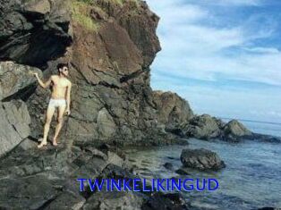TWINKELIKINGUD