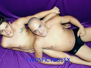 TWOSPICYBOYSX