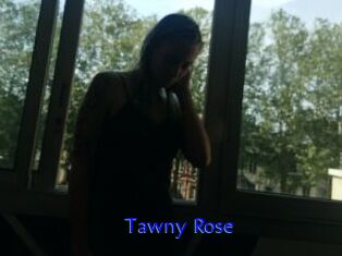 Tawny_Rose