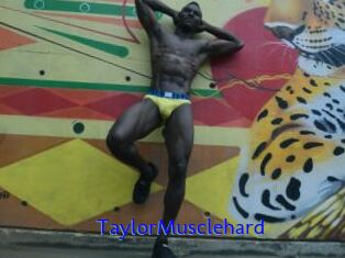 TaylorMusclehard