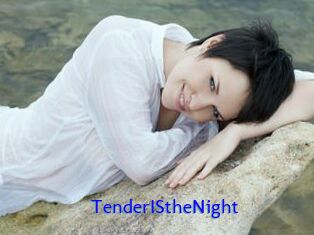 TenderIStheNight
