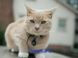 TestAlaric