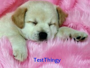 TestThingy