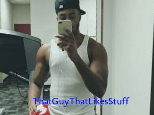ThatGuyThatLikesStuff