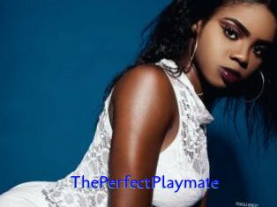ThePerfectPlaymate
