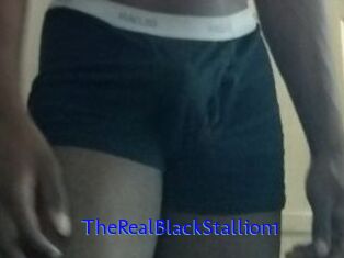 TheRealBlackStallion1