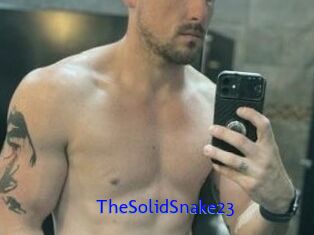 TheSolidSnake23 Sexo Gratis