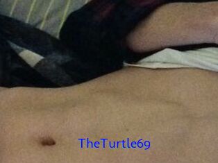 TheTurtle69