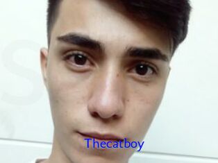 Thecatboy