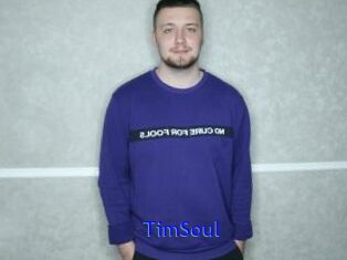 TimSoul
