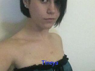 Tineya