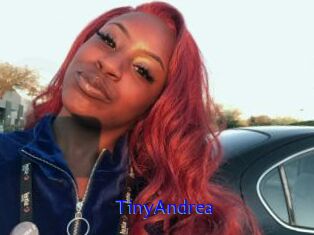 TinyAndrea