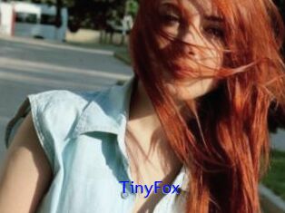 TinyFox