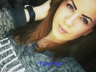 TinyTess
