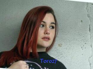 Toro27