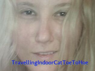 TravellingIndoorCatToeToHoe