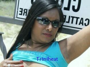 Triniheat