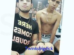 Twinksbigdick