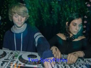 Two_SpicyKitties