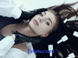 Taiteburnard