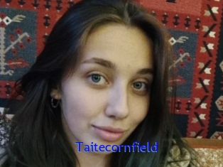 Taitecornfield
