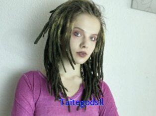 Taitegodsil