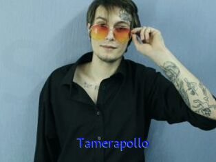 Tamerapollo