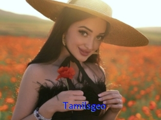Tamilsgeo