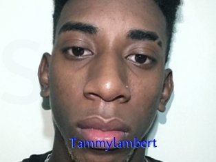 Tammylambert