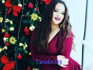 Tanakivi23