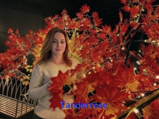Tanderrose