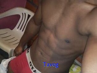 Tavog