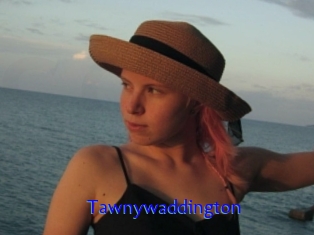 Tawnywaddington