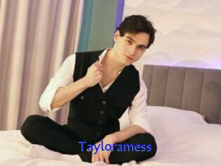 Tayloramess