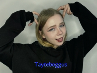 Tayteboggus