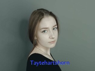 Taytehartshorn
