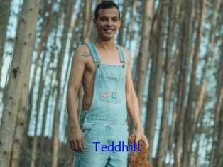 Teddhill