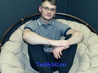 Teddybizon