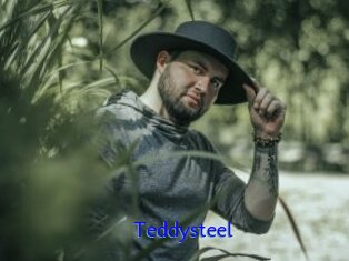 Teddysteel
