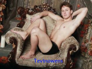 Tevinowens