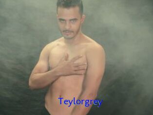 Teylorgrey