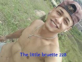 The_little_bruette_228