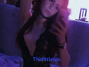 Thelittlefox