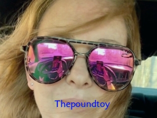 Thepoundtoy
