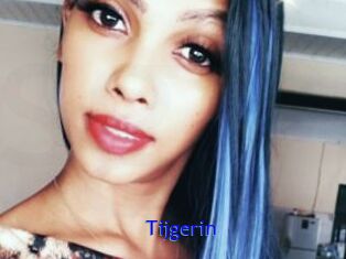 Tijgerin