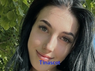 Tinascot