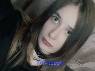 Tinypuppy