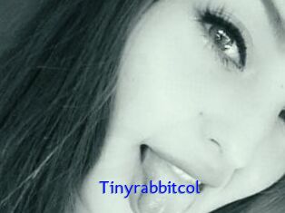 Tinyrabbitcol