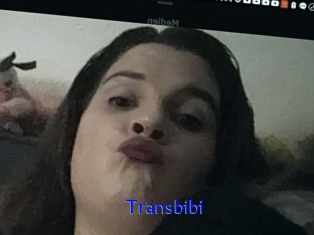 Transbibi